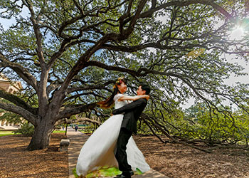 A wedding couple under the century tree on the Texas A&M University campus.