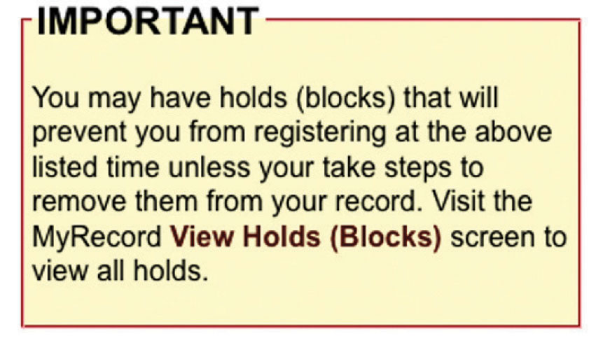 Screen shot image of Howdy Portal alerts for checking for holds